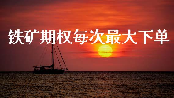 铁矿期权每次最大下单_https://m.fansifence.com_贵金属行情_第1张