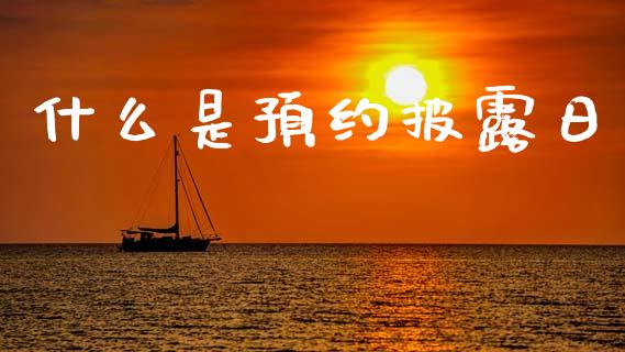 什么是预约披露日_https://m.fansifence.com_公募基金_第1张