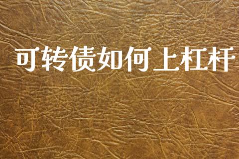 可转债如何上杠杆_https://m.fansifence.com_公募基金_第1张
