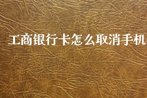 工商银行卡怎么取消手机_https://m.fansifence.com_消费金融_第1张