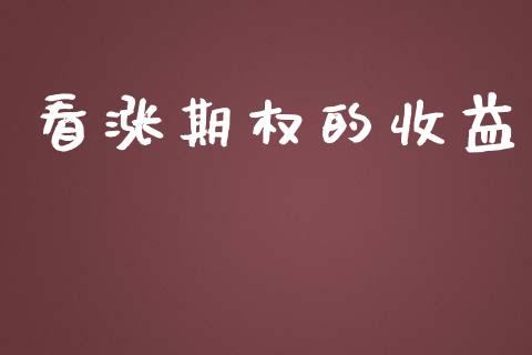 看涨期权的收益_https://m.fansifence.com_消费金融_第1张