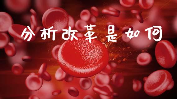 分析改革是如何_https://m.fansifence.com_贵金属行情_第1张