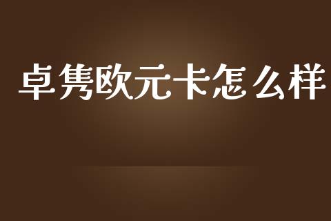 卓隽欧元卡怎么样_https://m.fansifence.com_公募基金_第1张