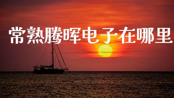 常熟腾晖电子在哪里_https://m.fansifence.com_个股行情_第1张