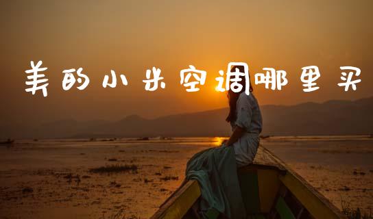 美的小米空调哪里买_https://m.fansifence.com_贵金属行情_第1张