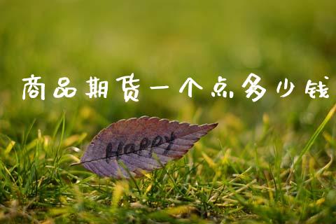 商品期货一个点多少钱_https://m.fansifence.com_贵金属行情_第1张