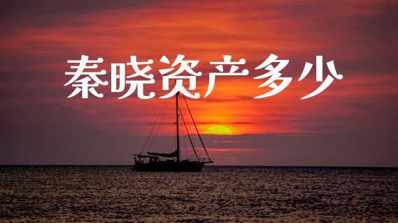 秦晓资产多少_https://m.fansifence.com_公募基金_第1张