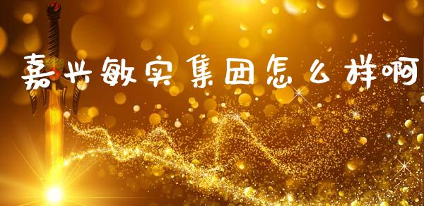 嘉兴敏实集团怎么样啊_https://m.fansifence.com_消费金融_第1张