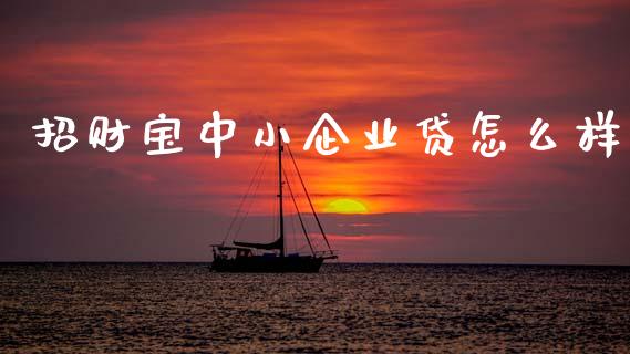 招财宝中小企业贷怎么样_https://m.fansifence.com_消费金融_第1张