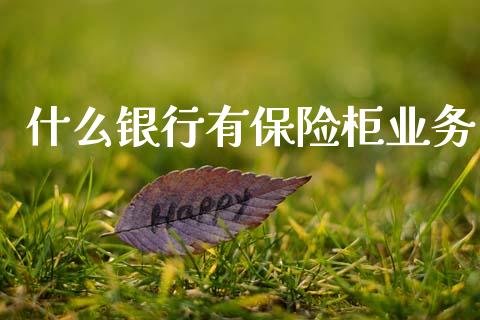 什么银行有保险柜业务_https://m.fansifence.com_消费金融_第1张