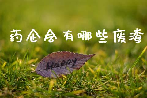 药企会有哪些废渣_https://m.fansifence.com_公募基金_第1张