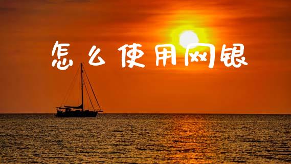 怎么使用网银_https://m.fansifence.com_个股行情_第1张