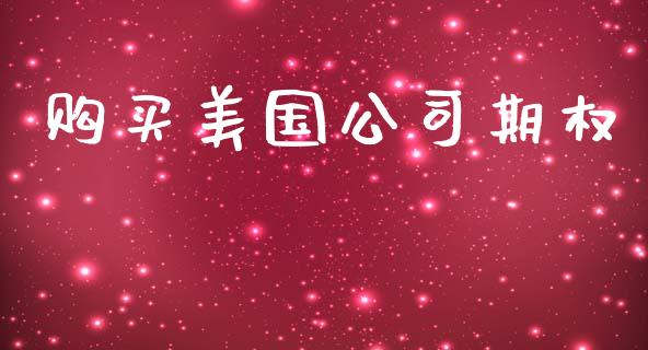 购买美国公司期权_https://m.fansifence.com_公募基金_第1张