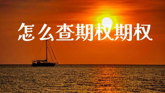 怎么查期权期权_https://m.fansifence.com_消费金融_第1张
