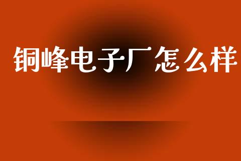 铜峰电子厂怎么样_https://m.fansifence.com_公募基金_第1张