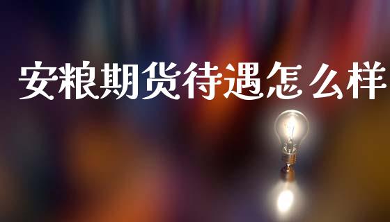 安粮期货待遇怎么样_https://m.fansifence.com_公募基金_第1张