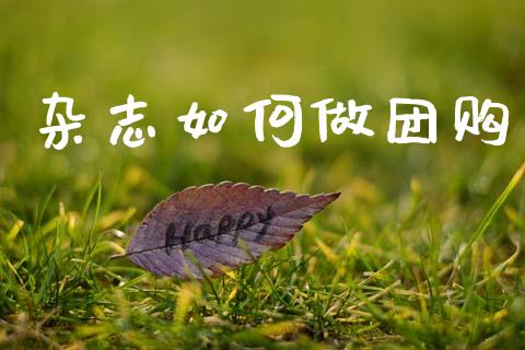 杂志如何做团购_https://m.fansifence.com_公募基金_第1张