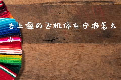 去上海的飞机停在宁波怎么办_https://m.fansifence.com_贵金属行情_第1张