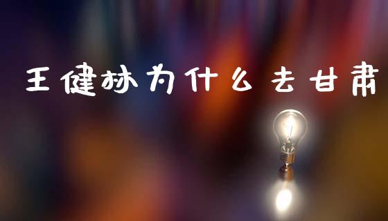 王健林为什么去甘肃_https://m.fansifence.com_公募基金_第1张