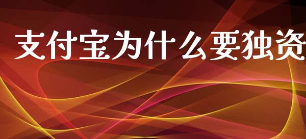 支付宝为什么要独资_https://m.fansifence.com_个股行情_第1张