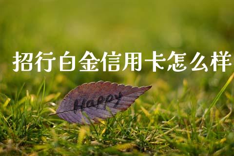 招行白金信用卡怎么样_https://m.fansifence.com_消费金融_第1张