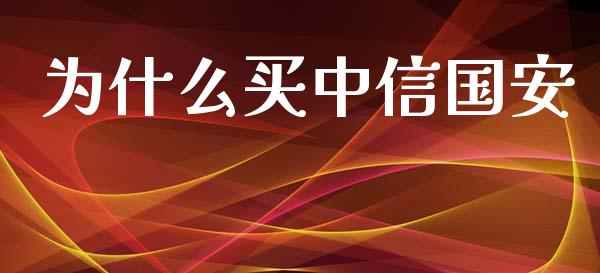 为什么买中信国安_https://m.fansifence.com_公募基金_第1张