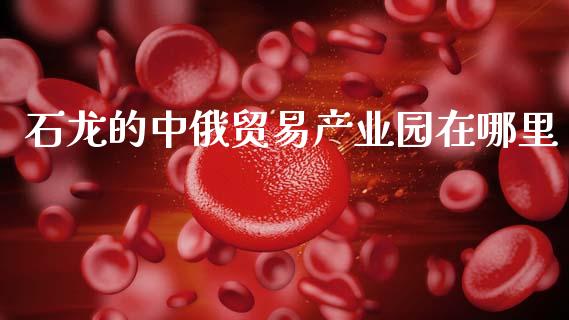 石龙的中俄贸易产业园在哪里_https://m.fansifence.com_消费金融_第1张