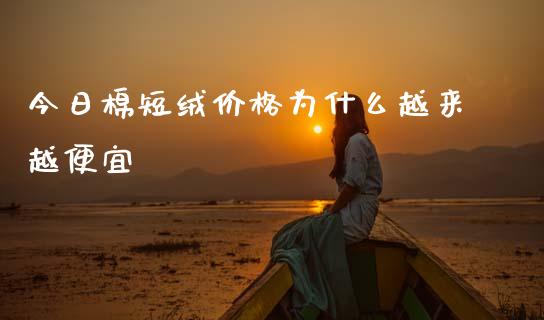 今日棉短绒价格为什么越来越便宜_https://m.fansifence.com_公募基金_第1张