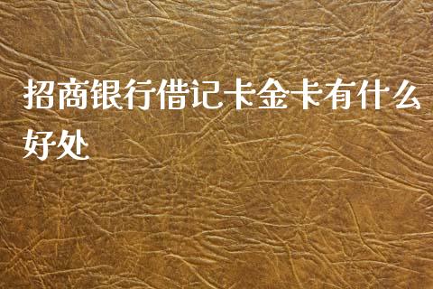 招商银行借记卡金卡有什么好处_https://m.fansifence.com_消费金融_第1张
