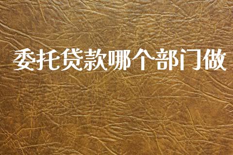 委托贷款哪个部门做_https://m.fansifence.com_个股行情_第1张