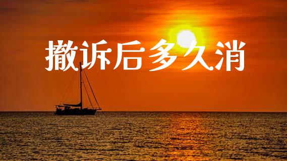 撤诉后多久消_https://m.fansifence.com_消费金融_第1张