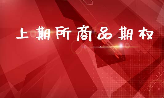 上期所商品期权_https://m.fansifence.com_消费金融_第1张
