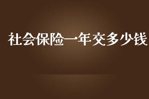 社会保险一年交多少钱_https://m.fansifence.com_贵金属行情_第1张