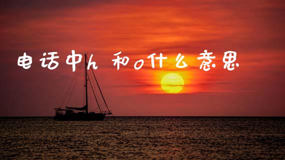 电话中h 和o什么意思_https://m.fansifence.com_个股行情_第1张