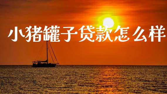 小猪罐子贷款怎么样_https://m.fansifence.com_贵金属行情_第1张