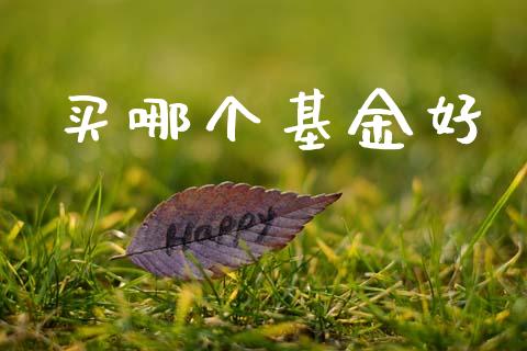 买哪个基金好_https://m.fansifence.com_个股行情_第1张