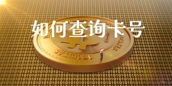 如何查询卡号_https://m.fansifence.com_贵金属行情_第1张