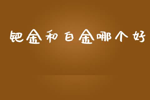 钯金和白金哪个好_https://m.fansifence.com_贵金属行情_第1张