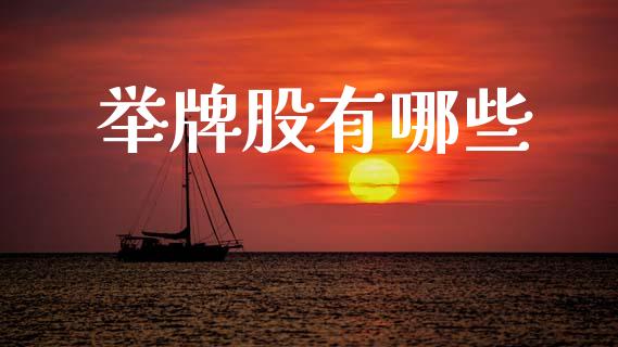 举牌股有哪些_https://m.fansifence.com_消费金融_第1张