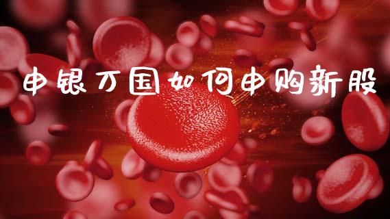 申银万国如何申购新股_https://m.fansifence.com_公募基金_第1张