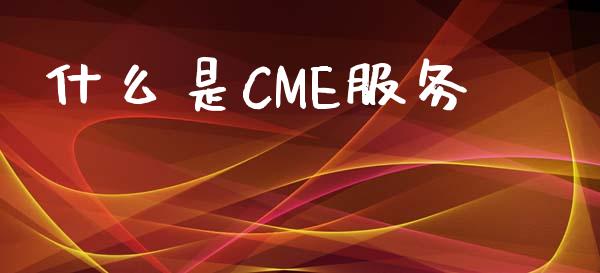 什么是CME服务_https://m.fansifence.com_贵金属行情_第1张