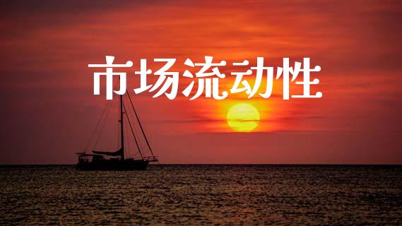 市场流动性_https://m.fansifence.com_消费金融_第1张