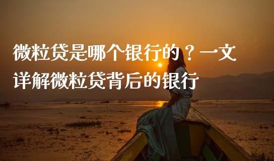 微粒贷是哪个银行的？一文详解微粒贷背后的银行_https://m.fansifence.com_公募基金_第1张