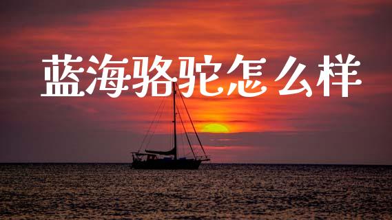 蓝海骆驼怎么样_https://m.fansifence.com_个股行情_第1张