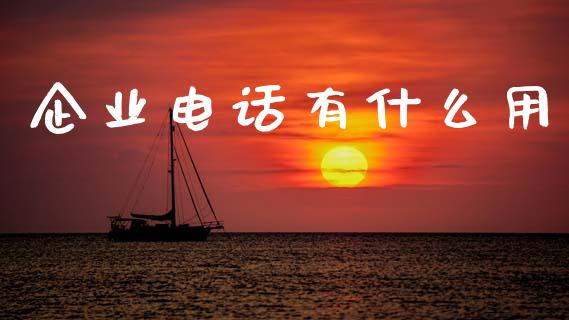 企业电话有什么用_https://m.fansifence.com_个股行情_第1张