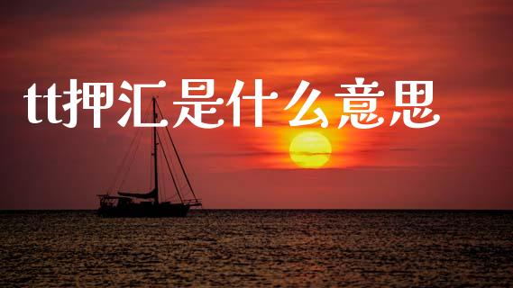 tt押汇是什么意思_https://m.fansifence.com_消费金融_第1张