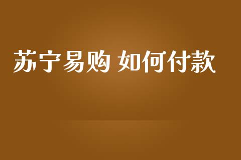 苏宁易购 如何付款_https://m.fansifence.com_贵金属行情_第1张