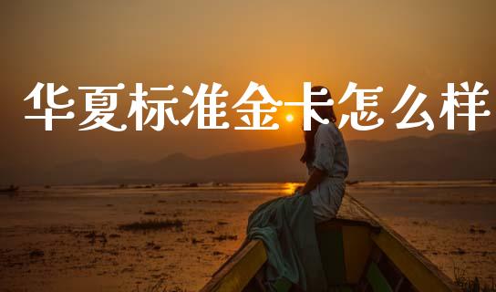 华夏标准金卡怎么样_https://m.fansifence.com_个股行情_第1张