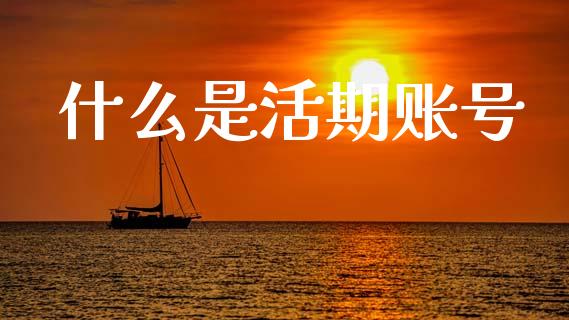 什么是活期账号_https://m.fansifence.com_消费金融_第1张