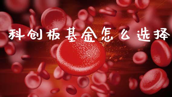 科创板基金怎么选择_https://m.fansifence.com_贵金属行情_第1张